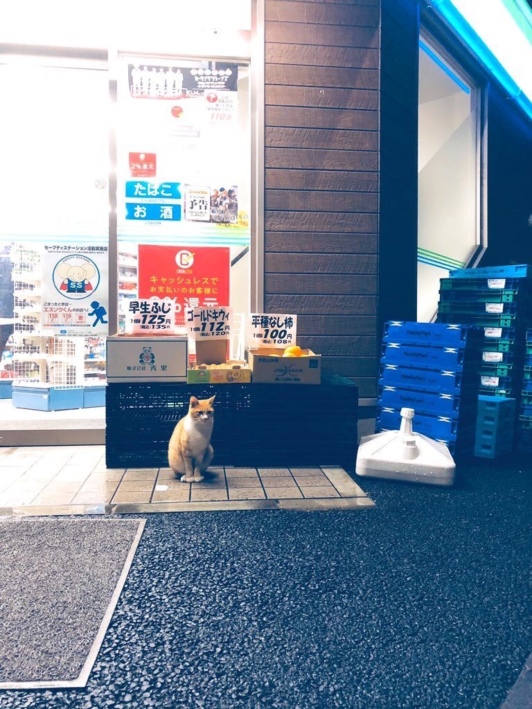 f:id:tokyomoon:20191024185344j:plain