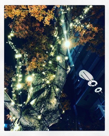 f:id:tokyomoon:20191204210938j:image f:id:tokyomoon:20191204210938j:image