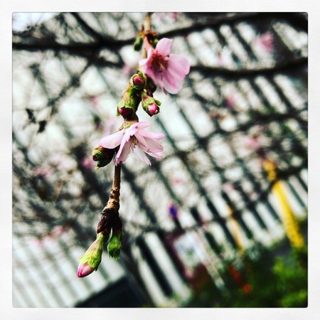 f:id:tokyomoon:20191221202517j:image f:id:tokyomoon:20191221202517j:image