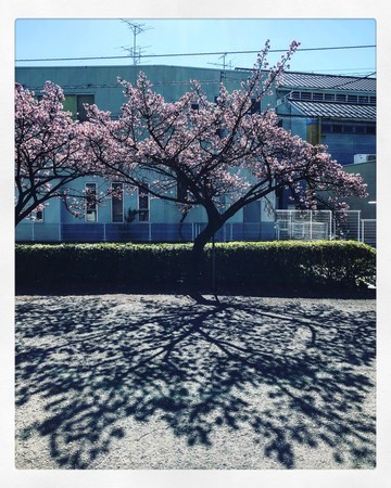 f:id:tokyomoon:20200210001102j:image