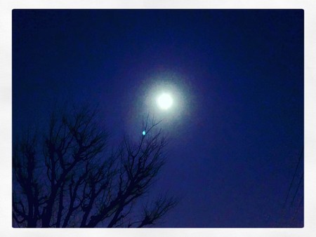 f:id:tokyomoon:20200311004132j:image f:id:tokyomoon:20200311004132j:image