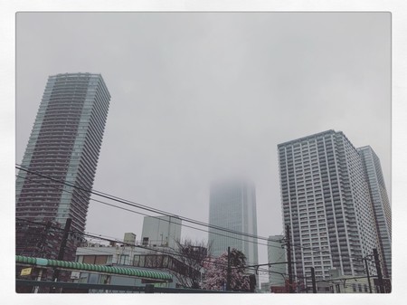 f:id:tokyomoon:20200314220424j:image f:id:tokyomoon:20200314220424j:image