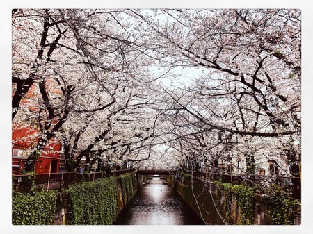 f:id:tokyomoon:20200401012251j:image
