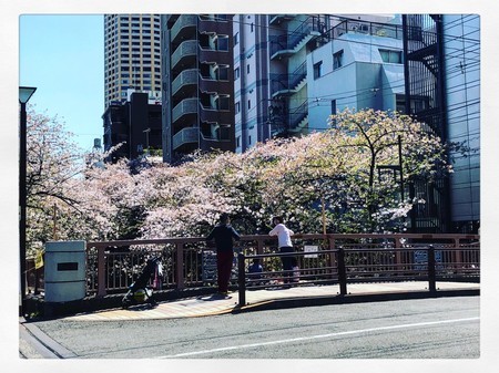 f:id:tokyomoon:20200410015558j:image f:id:tokyomoon:20200410015558j:image