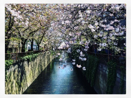 f:id:tokyomoon:20200410015605j:image f:id:tokyomoon:20200410015605j:image