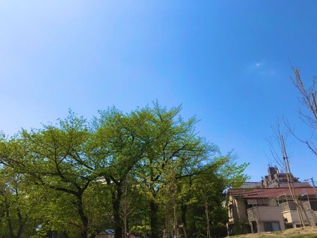 f:id:tokyomoon:20200422172844j:image f:id:tokyomoon:20200422172844j:image