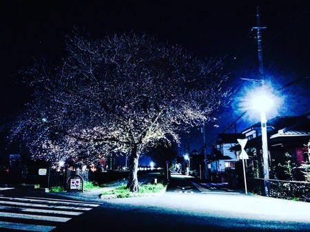 f:id:tokyomoon:20210324093342j:image