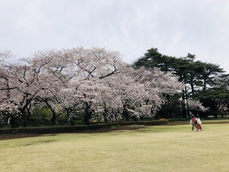 f:id:tokyomoon:20210328090717j:image