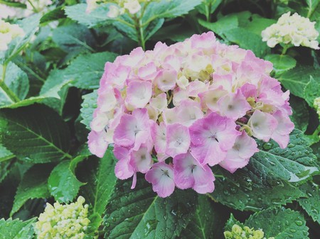 f:id:tokyomoon:20210520011516j:image