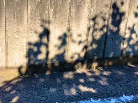 f:id:tokyomoon:20211121205426j:image