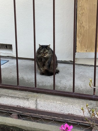 f:id:tokyomoon:20220104005445j:image