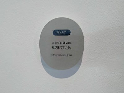 f:id:tokyonakayoshi:20190730160920j:plain