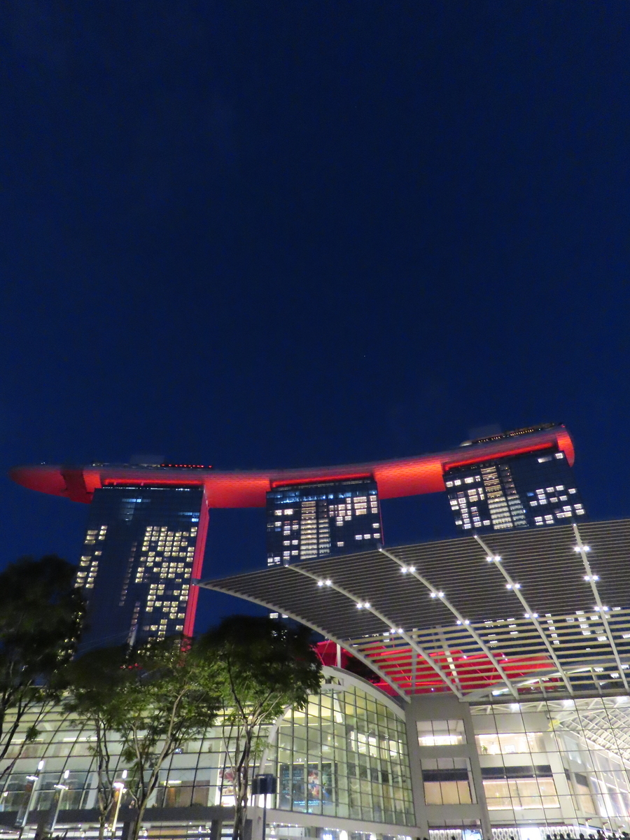 マリーナベイサンズ 夜景
