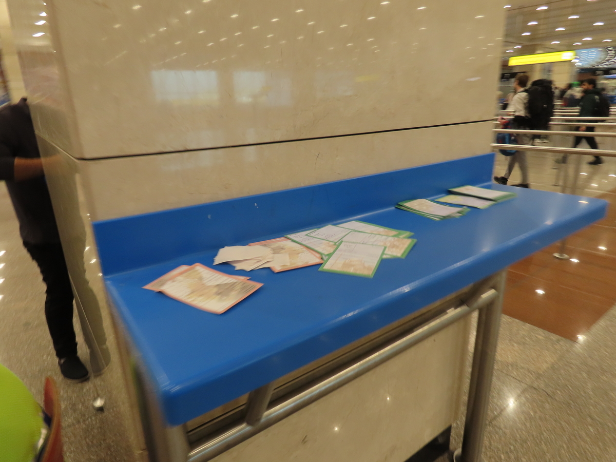 カイロ空港のエジプトの入国カード