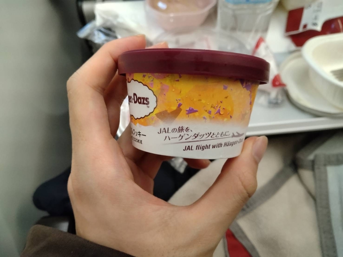 JAL国際線機内食サービス ハーゲンダッツがもらえる