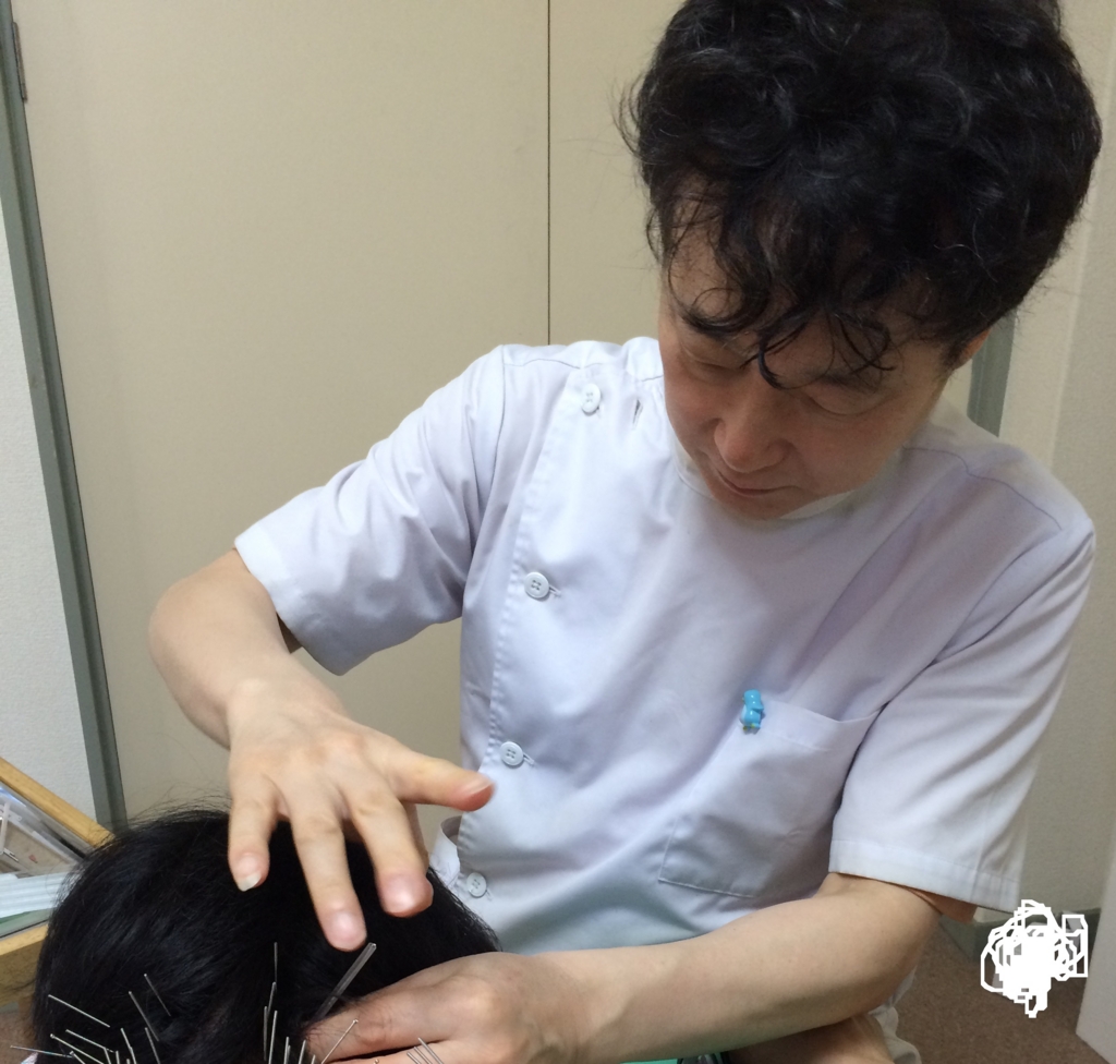 f:id:tokyotsubamezhenjiu:20160713150057j:plain f:id:tokyotsubamezhenjiu:20160713150057j:plain