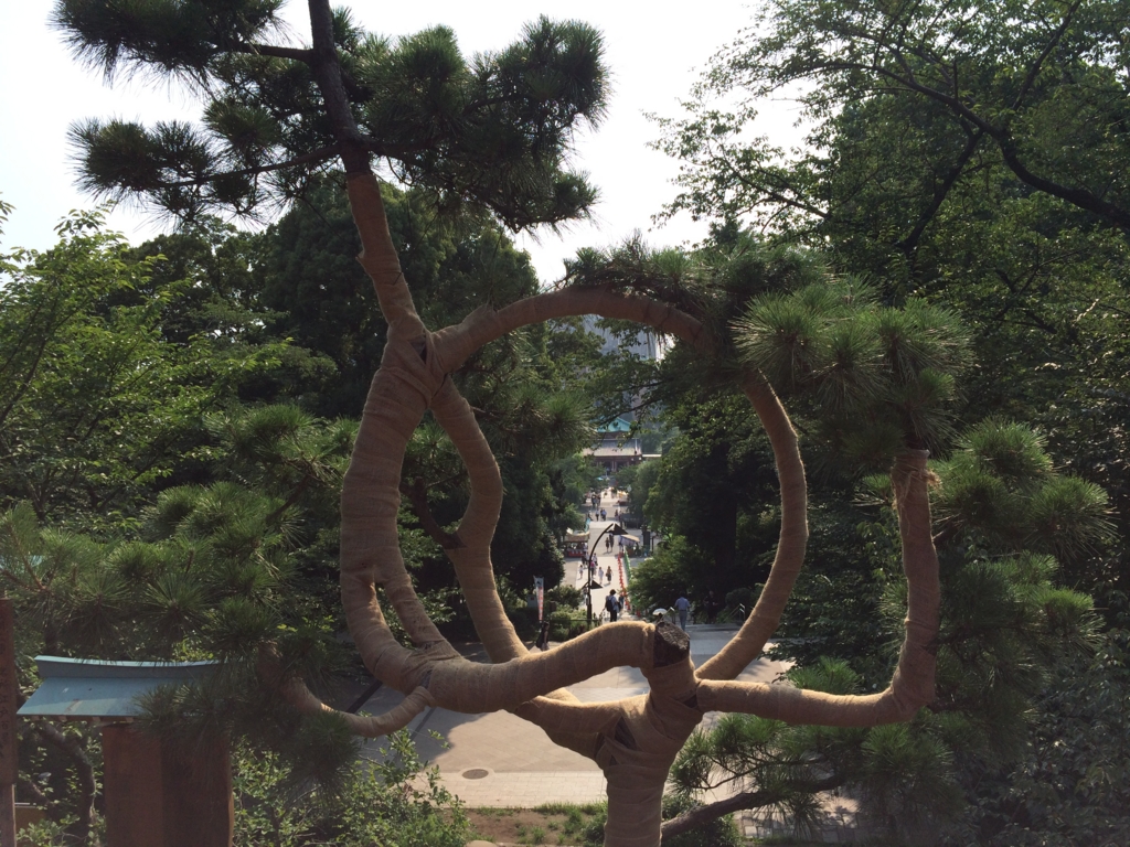 f:id:tokyotsubamezhenjiu:20160713150455j:plain f:id:tokyotsubamezhenjiu:20160713150455j:plain