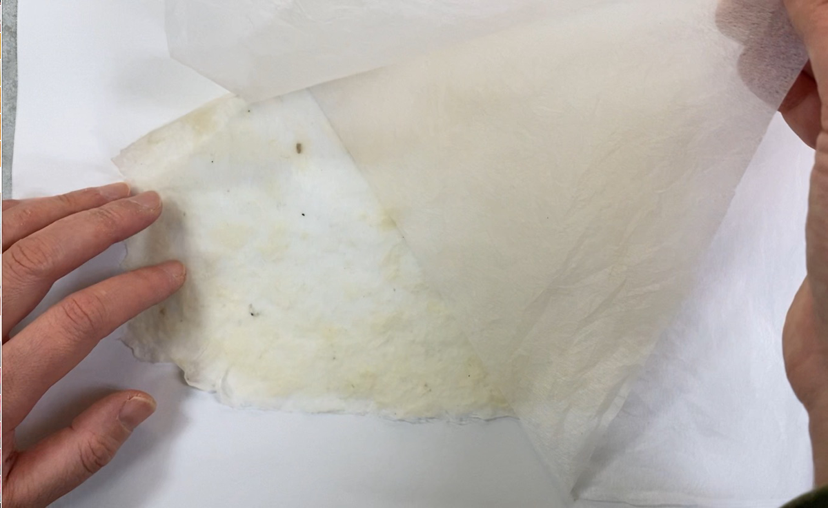 f:id:tokyowashi:20210215163806p:plain