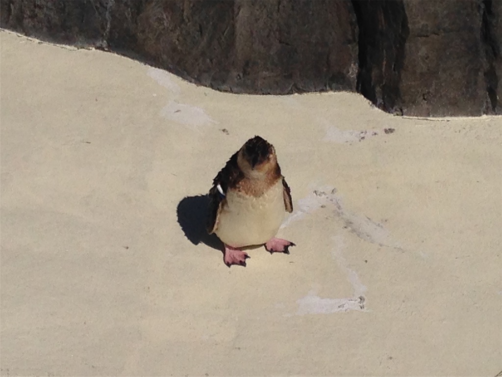 f:id:tokyoxxxclub:20160817124810j:image