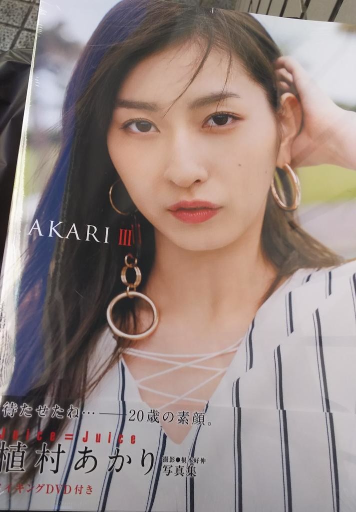 f:id:tokyu8795:20181230192933j:plain