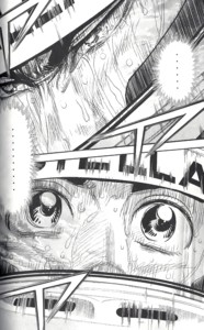 走り続けるcapetaという物語 Capeta 最終巻 無駄話