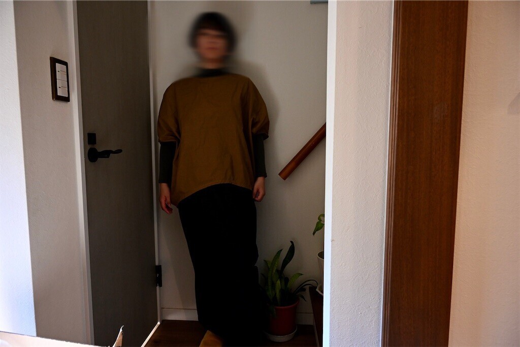 f:id:toller:20250209235830j:image