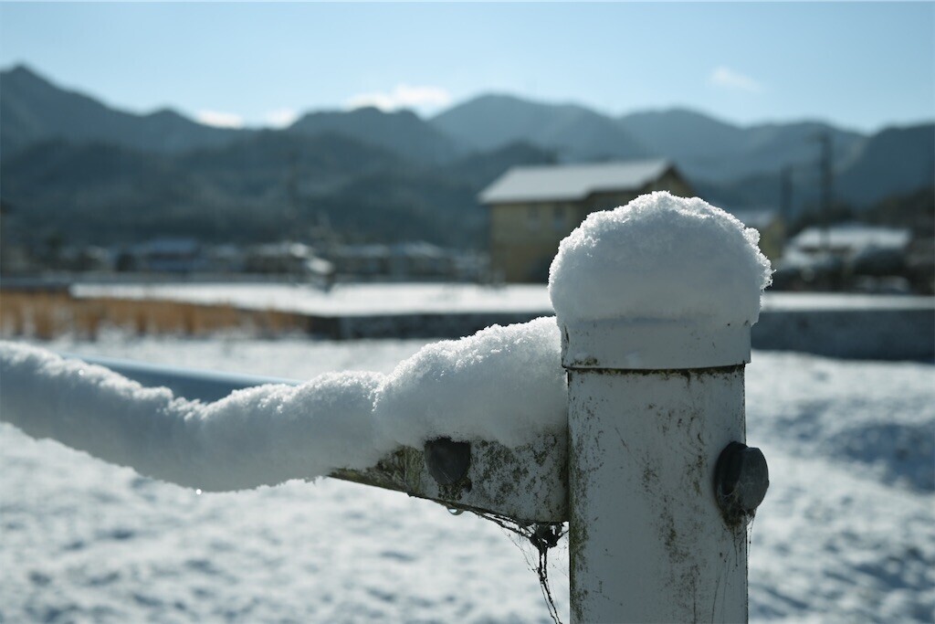 f:id:toller:20250213225341j:image