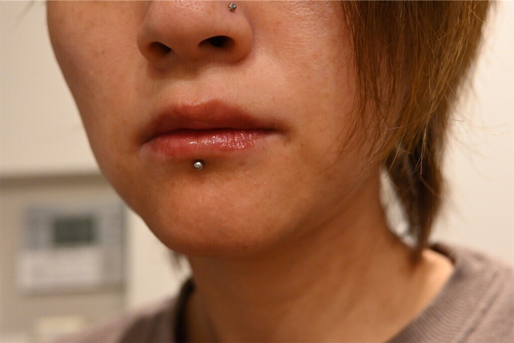 f:id:toller:20251116164055j:image f:id:toller:20251116164055j:image