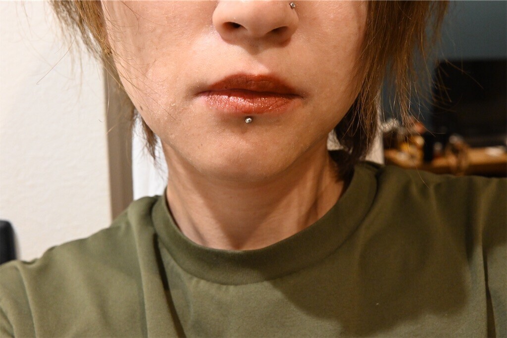 f:id:toller:20251116164457j:image f:id:toller:20251116164457j:image