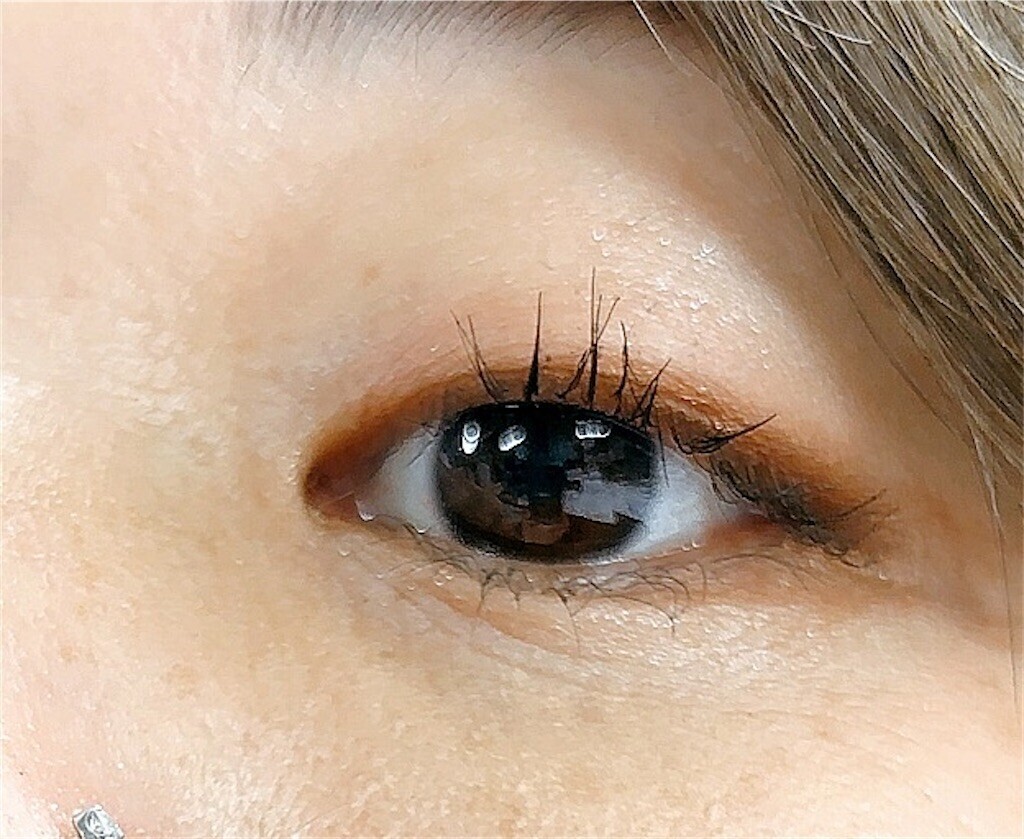 f:id:toller:20260217100523j:image