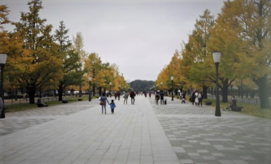 f:id:tom-oey:20191130170548j:plain