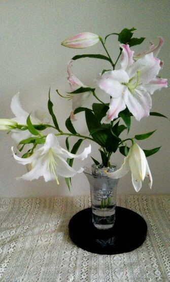 f:id:tom-oey:20200722231414j:plain f:id:tom-oey:20200722231414j:plain
