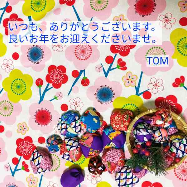 f:id:tom-oey:20201229200050j:plain