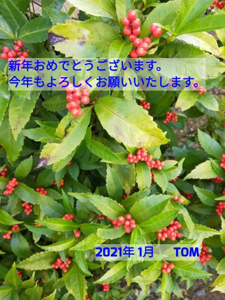f:id:tom-oey:20210105112649j:plain