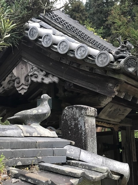 f:id:tom101010:20190512223017j:plain f:id:tom101010:20190512223017j:plain