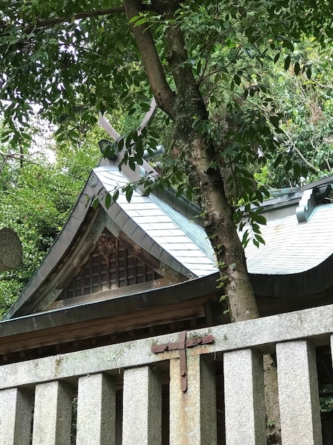 f:id:tom101010:20190515234141j:plain