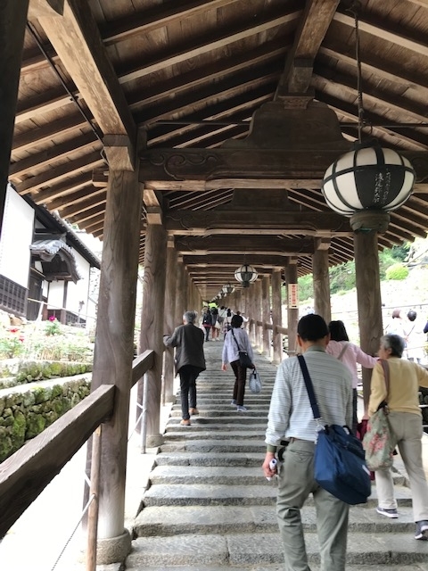 f:id:tom101010:20190517232652j:plain f:id:tom101010:20190517232652j:plain