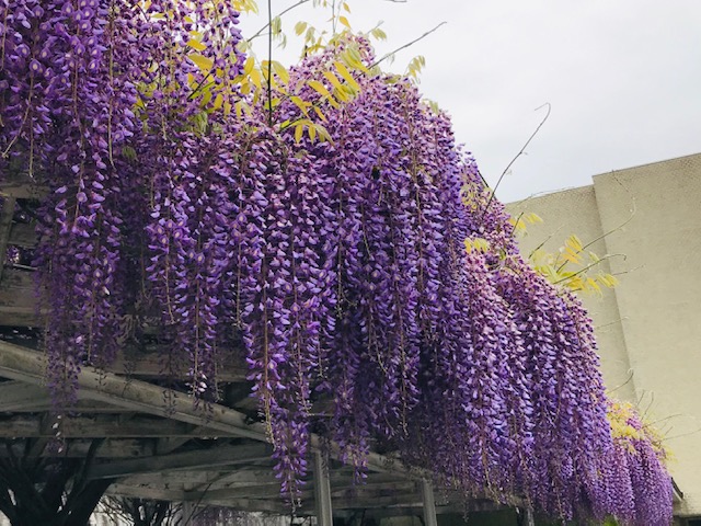 f:id:tom101010:20190527225526j:plain f:id:tom101010:20190527225526j:plain