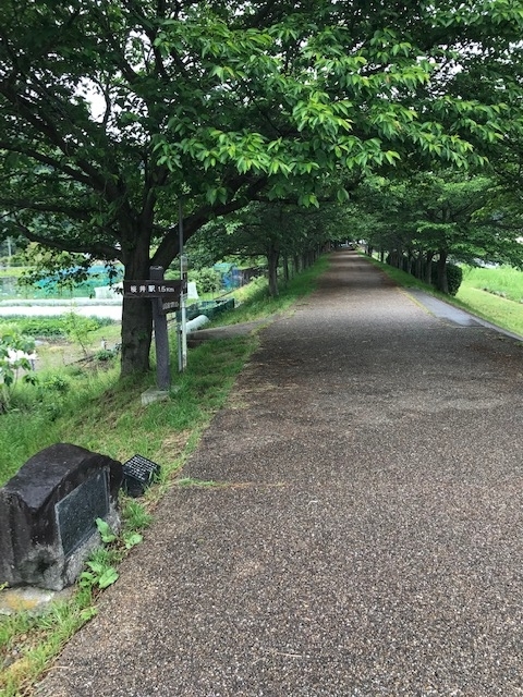 f:id:tom101010:20190528232326j:plain f:id:tom101010:20190528232326j:plain