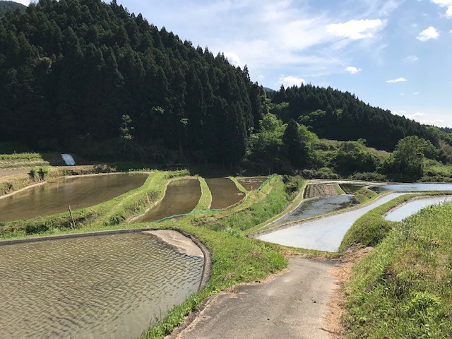 f:id:tom101010:20190606212845j:plain