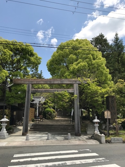 f:id:tom101010:20190607231441j:plain