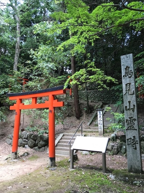 f:id:tom101010:20190607233027j:plain