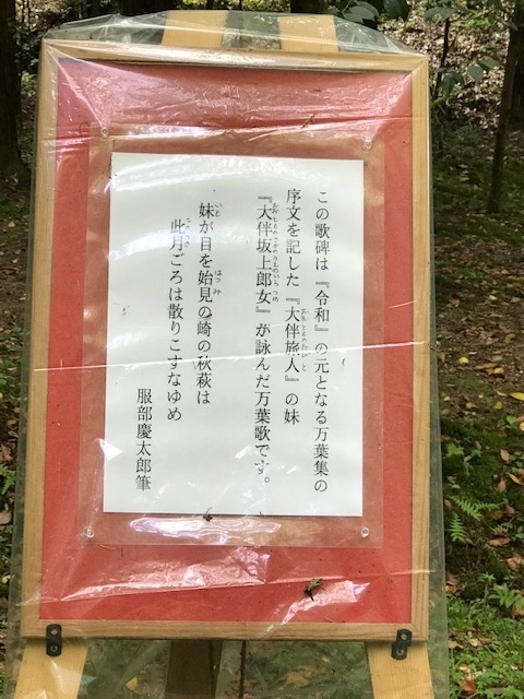 f:id:tom101010:20190608224721j:plain f:id:tom101010:20190608224721j:plain