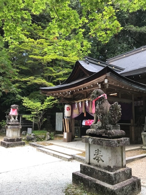 f:id:tom101010:20190608230807j:plain f:id:tom101010:20190608230807j:plain