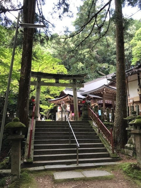 f:id:tom101010:20190609213558j:plain