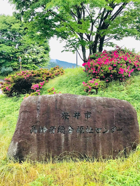 f:id:tom101010:20190613205057j:plain