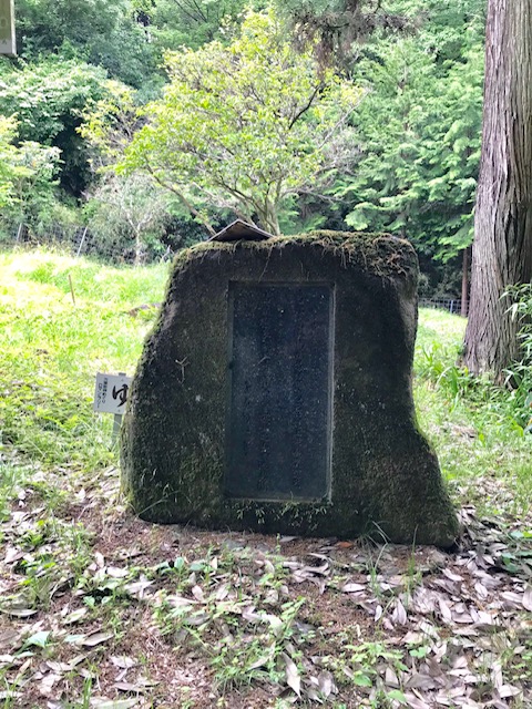 f:id:tom101010:20190615223432j:plain f:id:tom101010:20190615223432j:plain