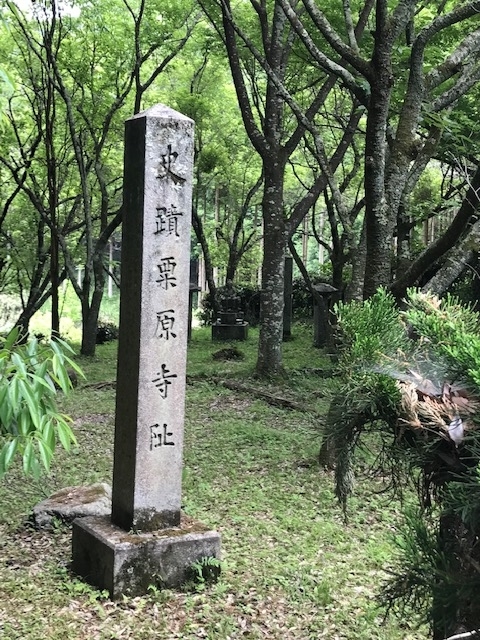 f:id:tom101010:20190615224342j:plain f:id:tom101010:20190615224342j:plain