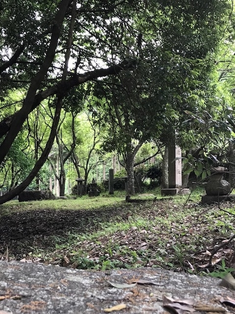 f:id:tom101010:20190615224526j:plain f:id:tom101010:20190615224526j:plain
