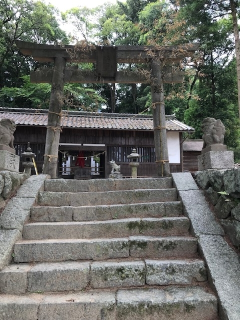 f:id:tom101010:20190615224949j:plain f:id:tom101010:20190615224949j:plain